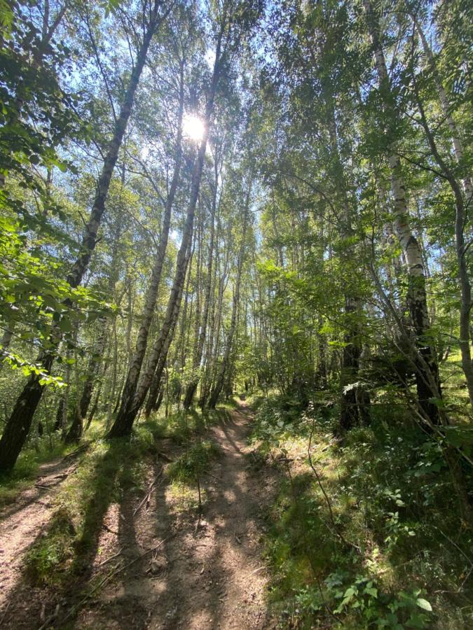 Sanmari_Forest Ledenice Exterior photo