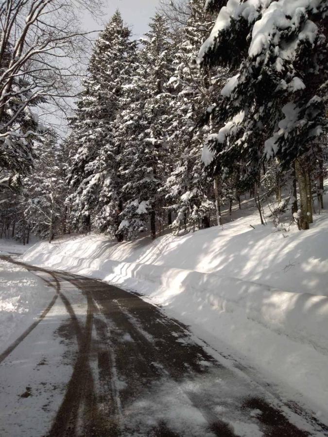 Sanmari_Forest Ledenice Exterior photo